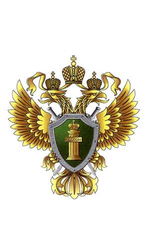 Молодежный Совет при прокуратуре Владимирской области